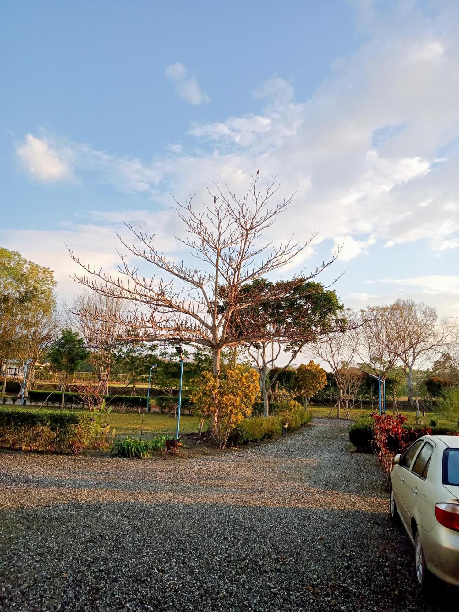 光復郷 Maple Feeling Vacation Farmゲストハウス エクステリア 写真